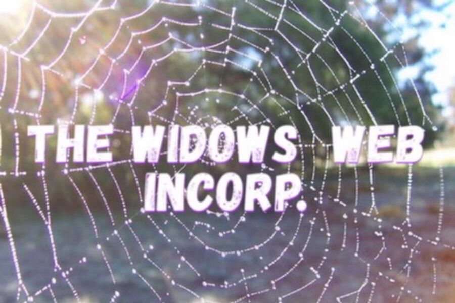 Widows Web