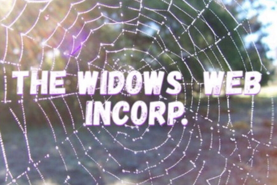 The Widows Web Incorporated